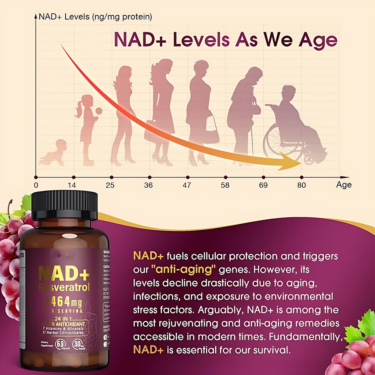 NAD+ Liposomal Supplement Gummies with Resveratrol – Organic Anti-Aging & Energy Support for Women