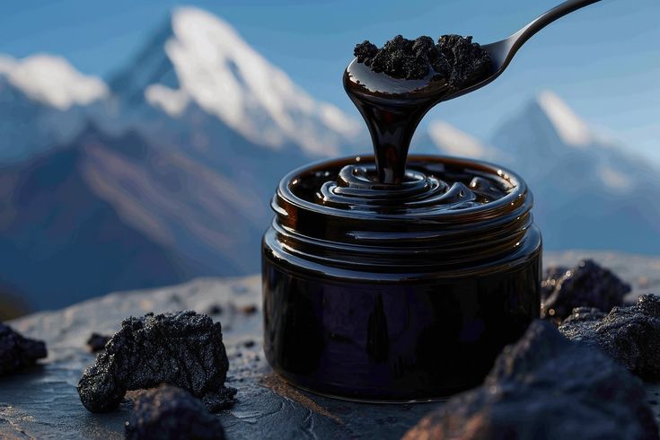 The Gold of the Himalayas — Our Pure shilajit Resin