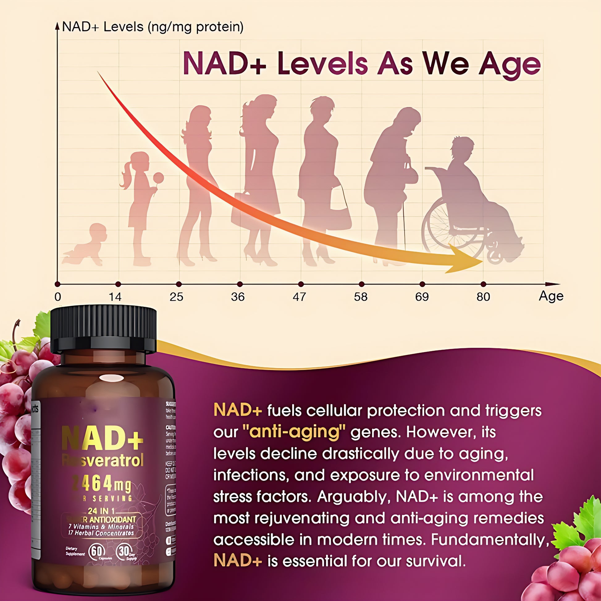 NAD+ Liposomal Supplement Gummies with Resveratrol – Organic Anti-Aging & Energy Support for Women